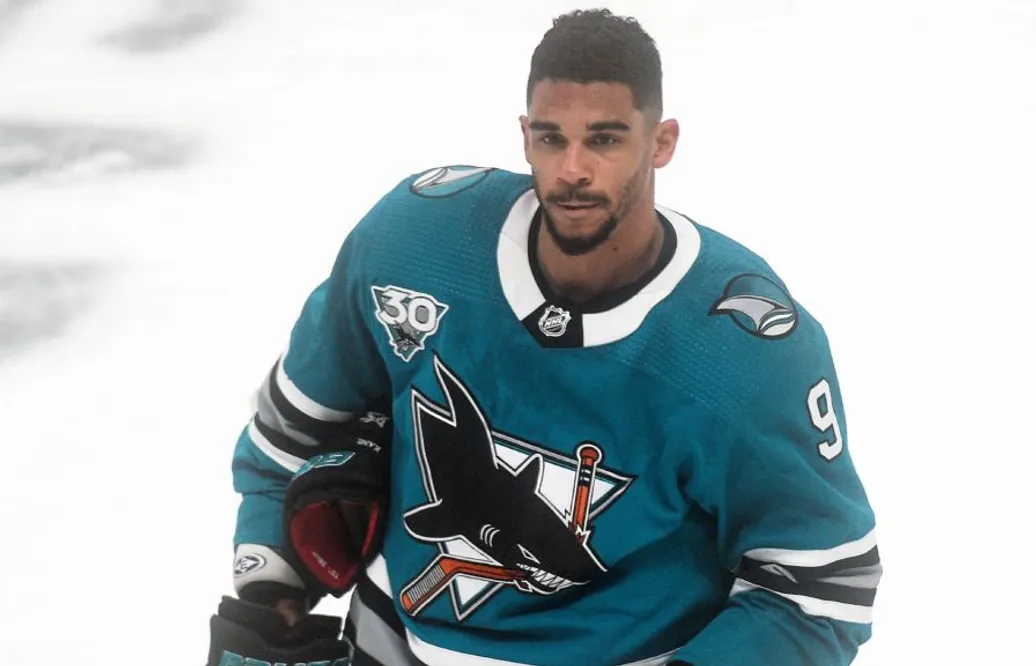 Nya anklagelser mot Evander Kane