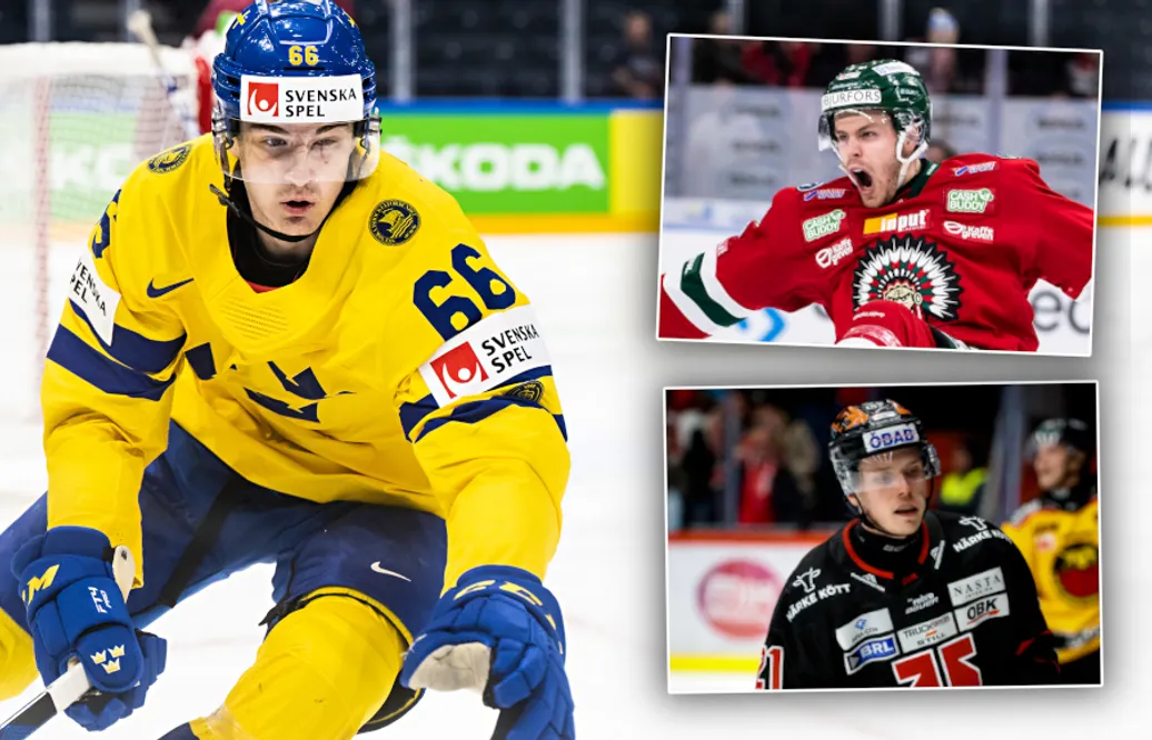 Klart: Tolv svenskar dumpas av sina NHL-klubbar