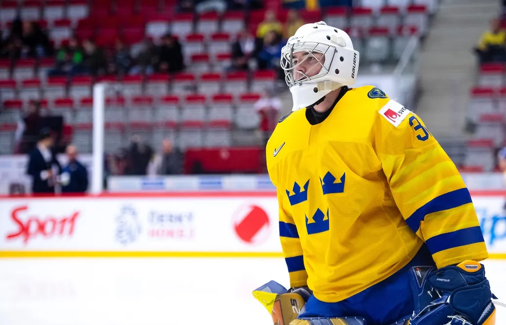 Tidigare JVM-svensken återkallas till NHL
