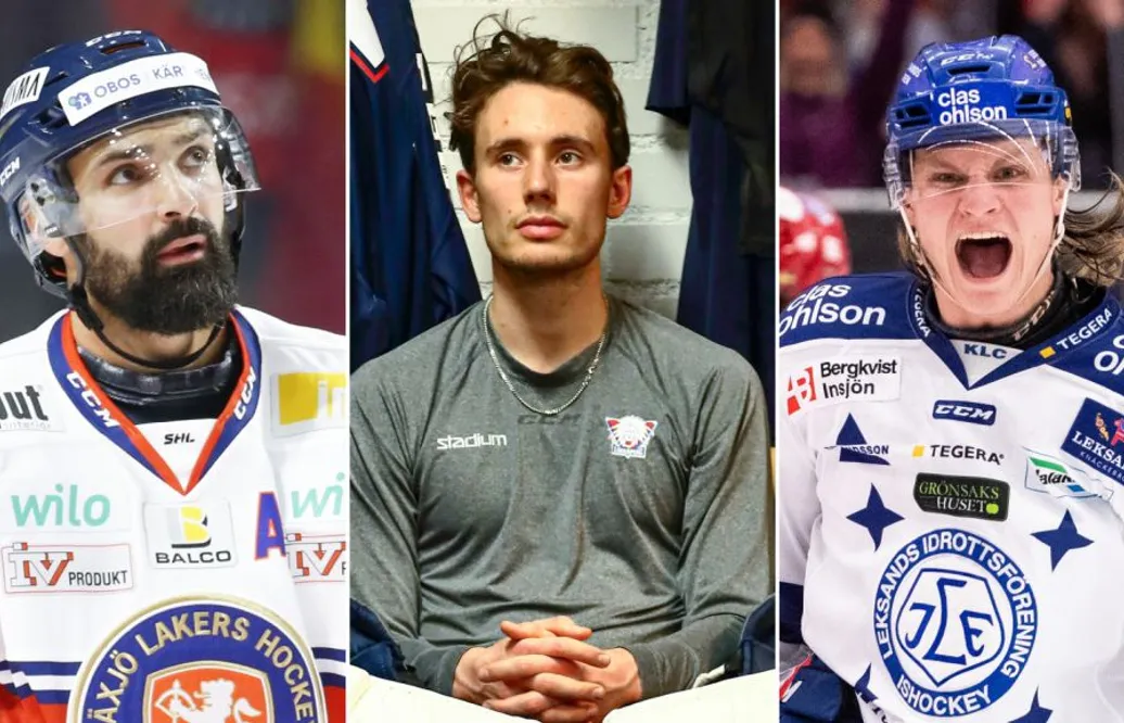 Så har lagen i Hockeyallsvenskan värvat inför 2020/21
