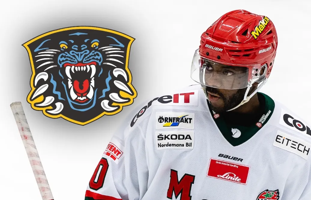 Edwin Hedberg flyttar till Nottingham Panthers