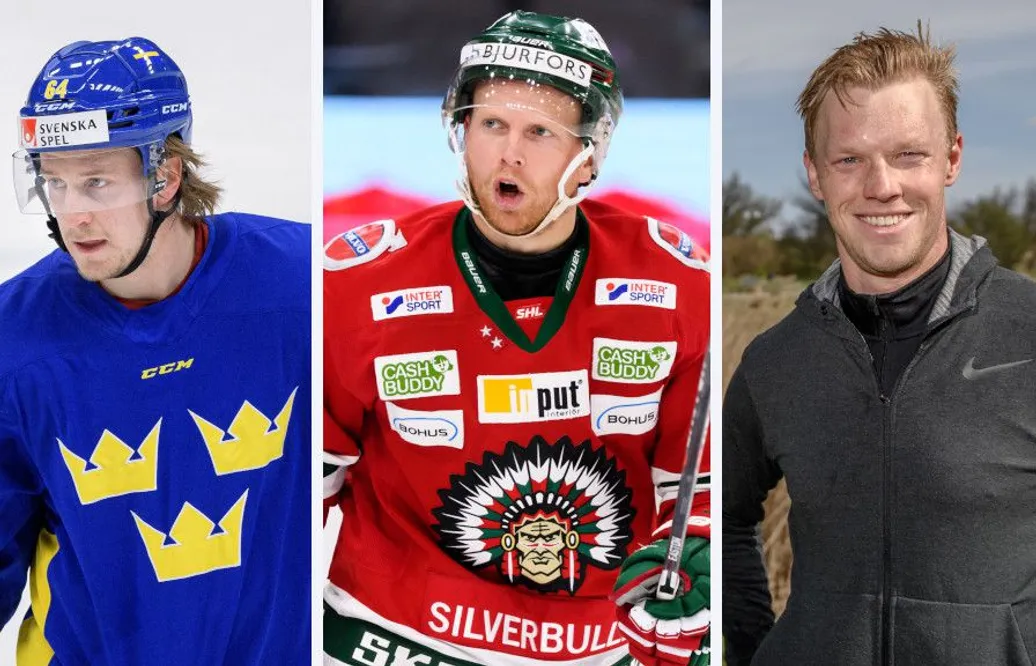 Sammanställning: Så har de 14 SHL-lagen värvat