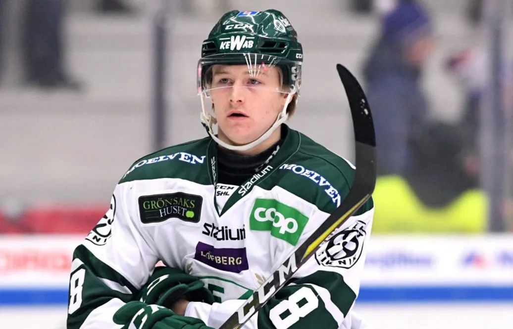 Från hobby till yrke – en resa från division 3 till SHL: ”Har nog inte fattat allt”