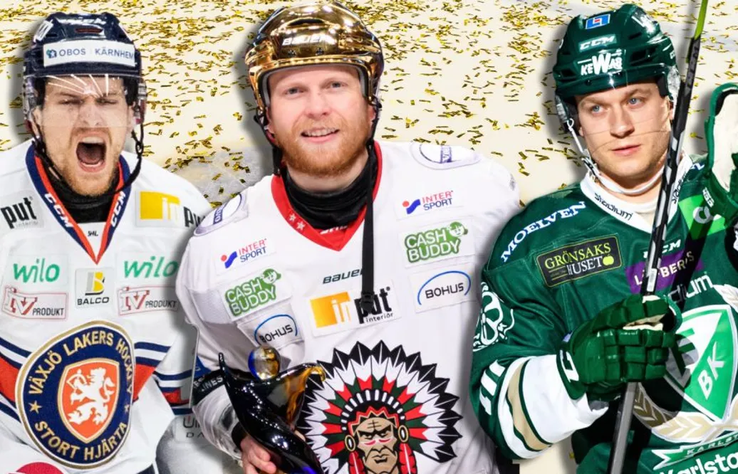 Så har de 14 SHL-lagen värvat hittills