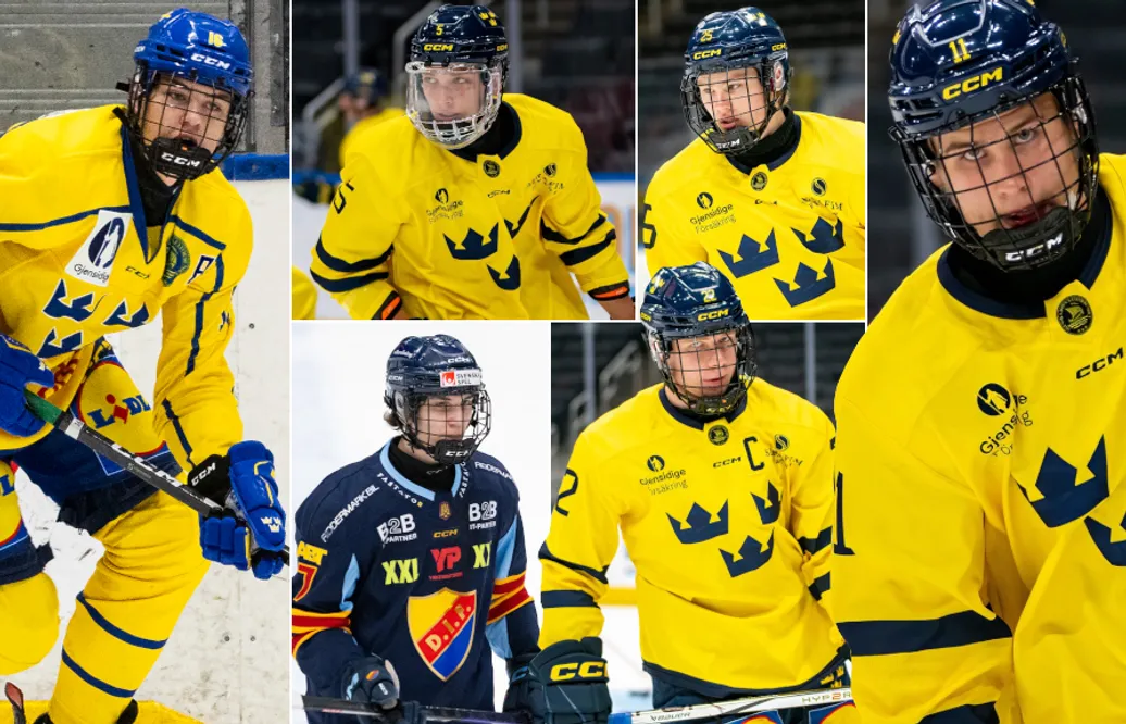 Sex svenskar rankas i förstarundan av NHL-draften 2025