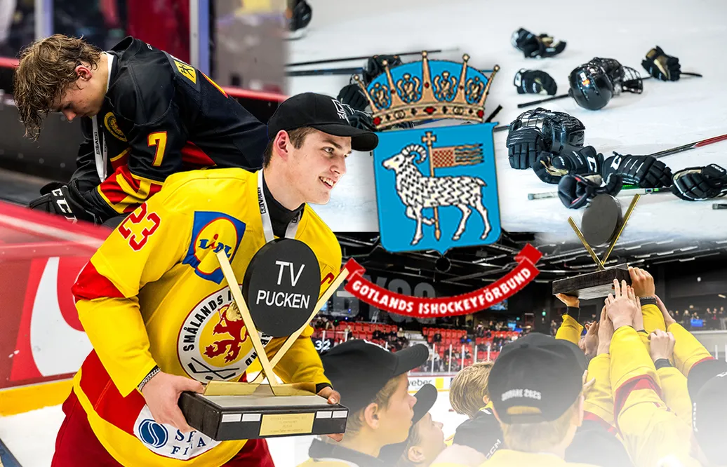 Gotland – kommentarer om ALLA spelare