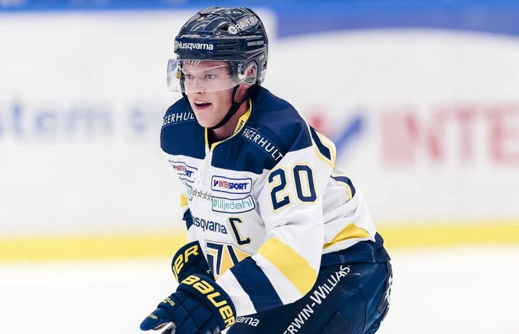 Han blev månadens spelare i SHL