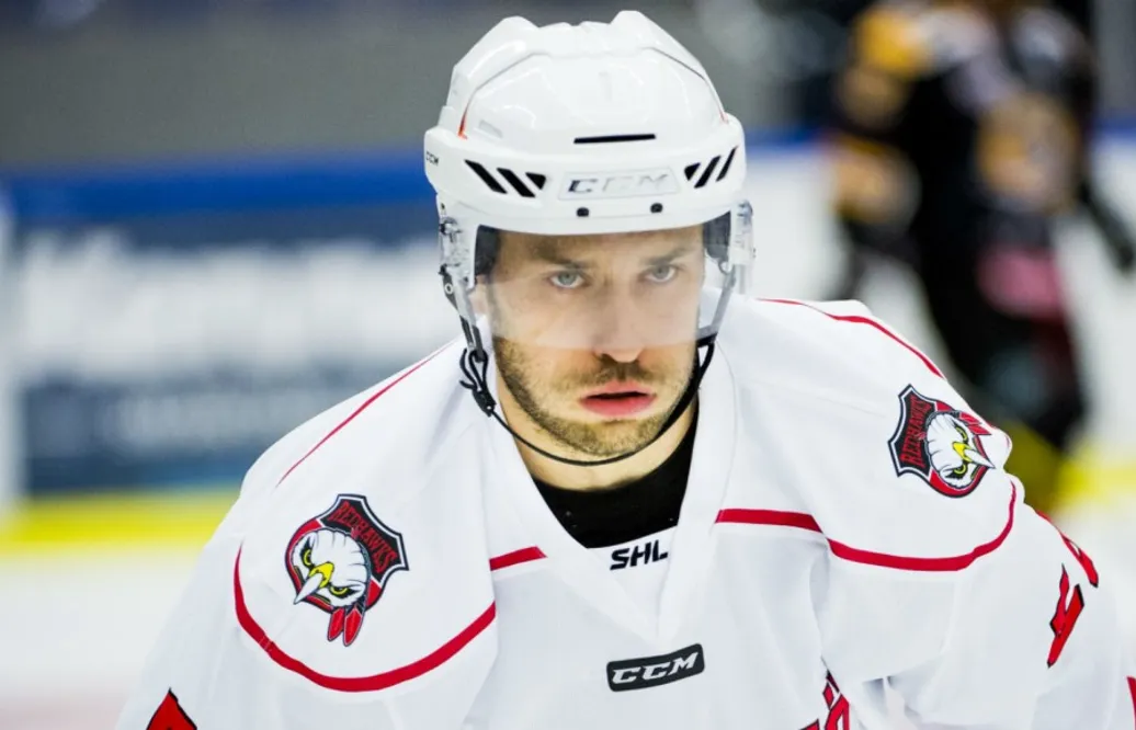 Här är Fabian Brunnströms nya karriär inom hockeyn