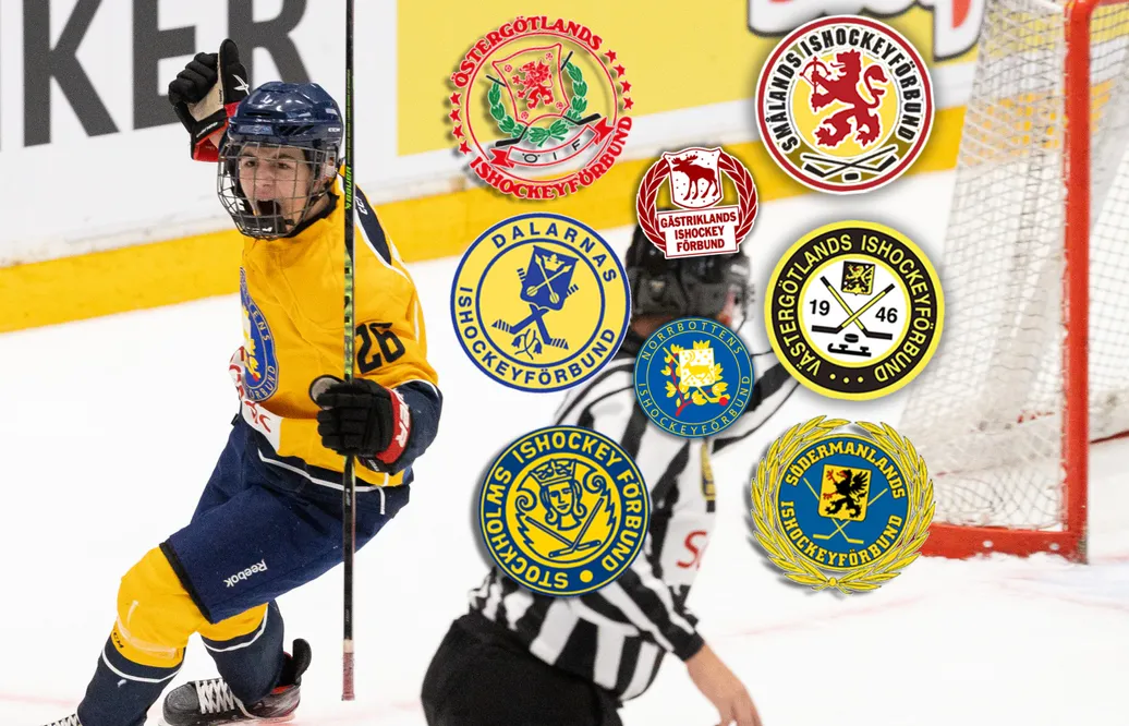 LAG FÖR LAG: Killarna att hålla koll på i TV-pucken