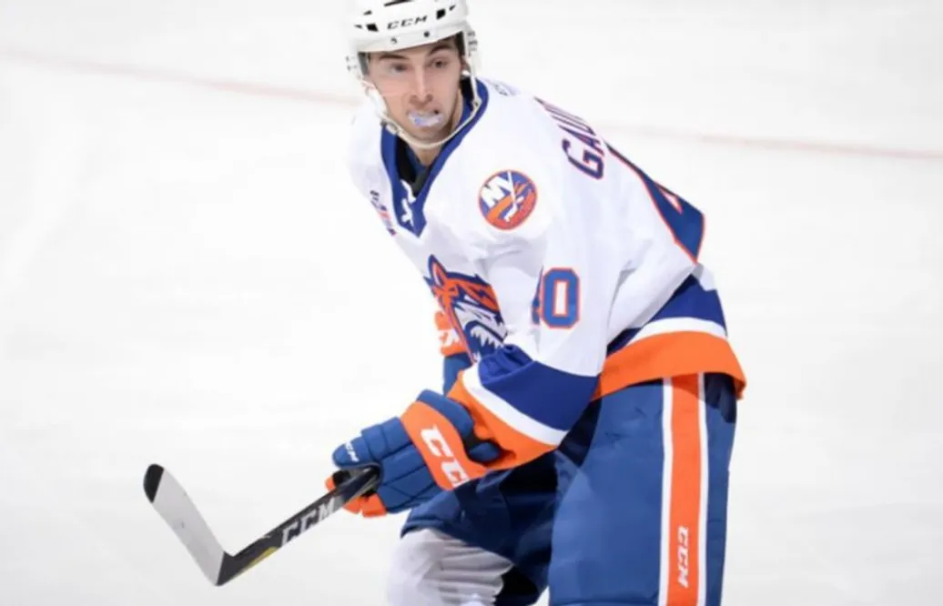 NHL-stjärnans bror klar för spel i Sverige