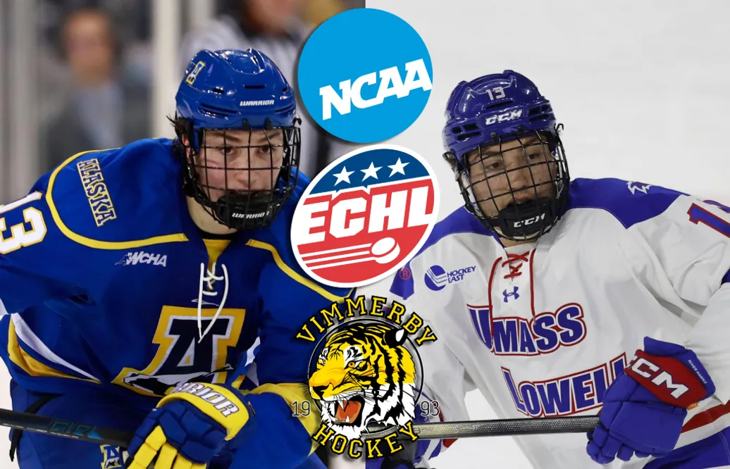 Tillbaka i Sverige – efter spel i ECHL: "Fight varje match"