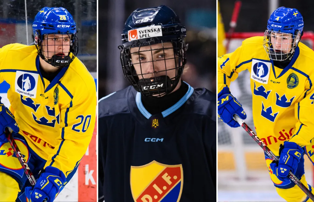 Så rankas svenskarna i expertens sista ranking inför NHL-draften