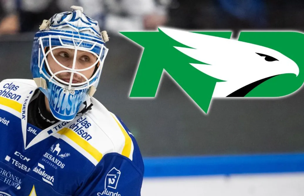 Från Hockeyettan till collegespel