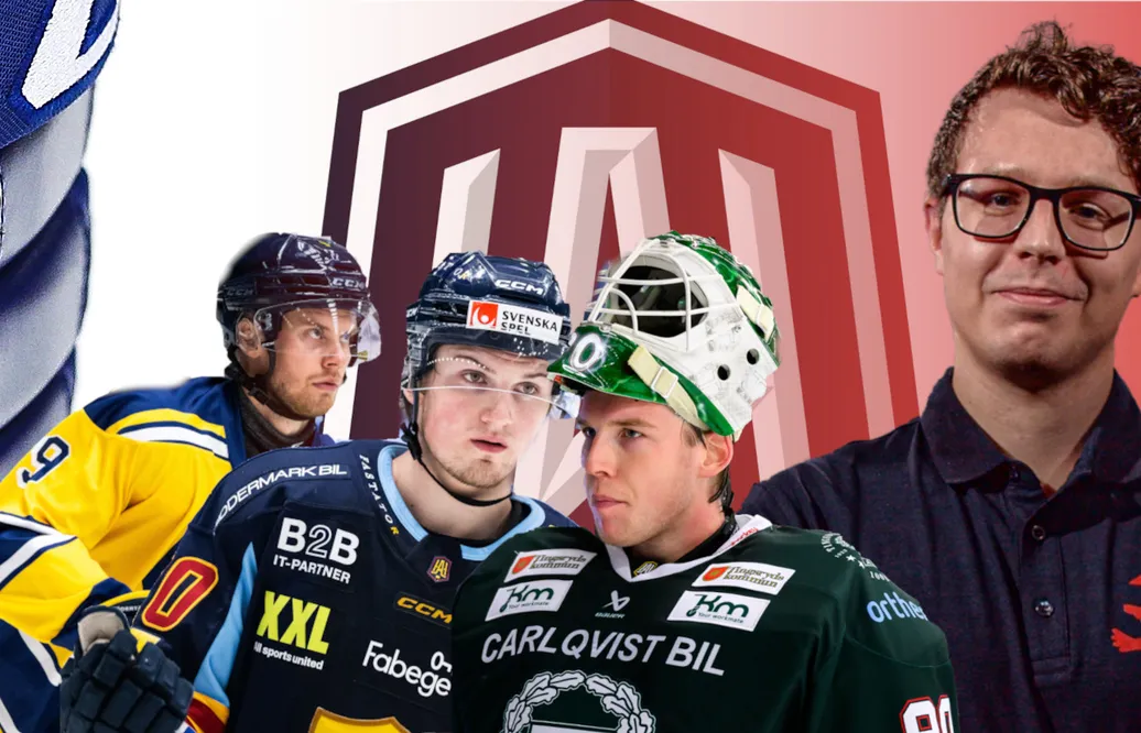 Måns Karlsson: Spelarna i HockeyAllsvenskan som borde få spela mer