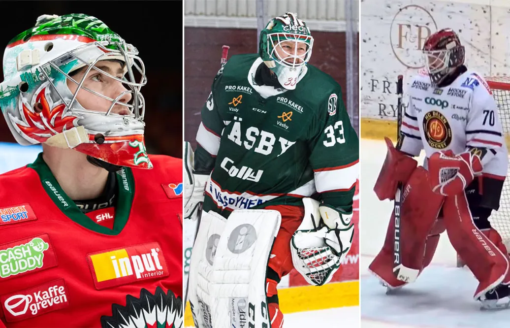 Hockeyettans mest spännande målvaktspar inför kommande säsong