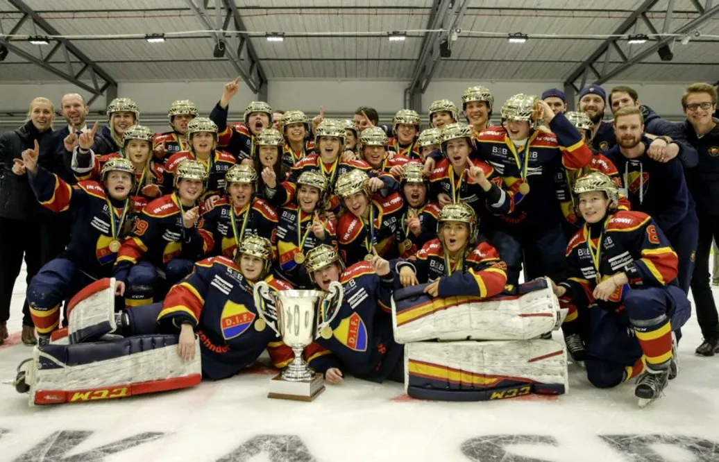 SDHL är färdigspelad – så avgörs slutspelet