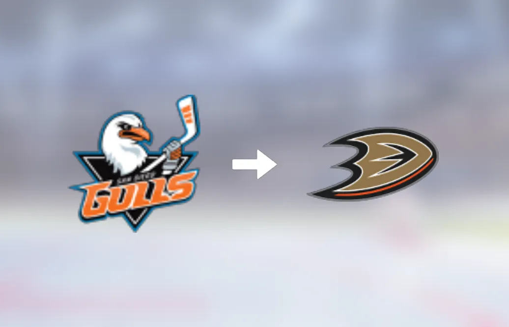 Vinni Lettieri plockas upp till Anaheim Ducks i NHL