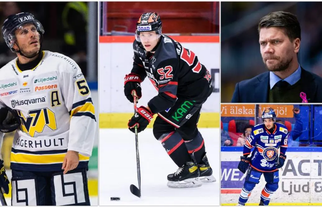 Hockeysverige-panelen: Vem blir näst på tur att sparkas?