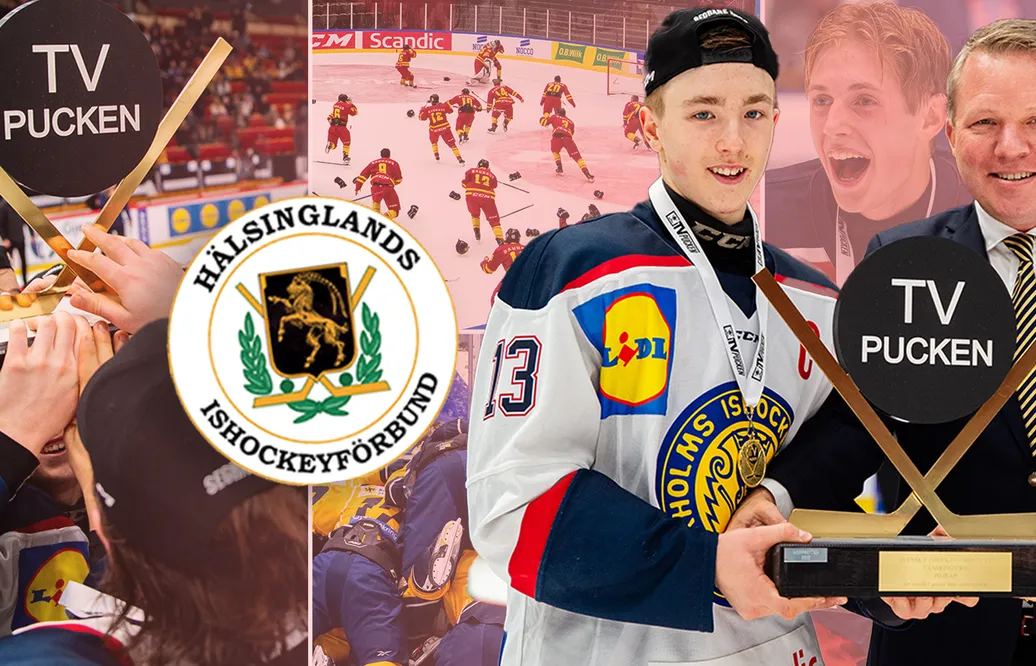 TV-pucken 2024: Hälsingland – kommentarer om ALLA spelare