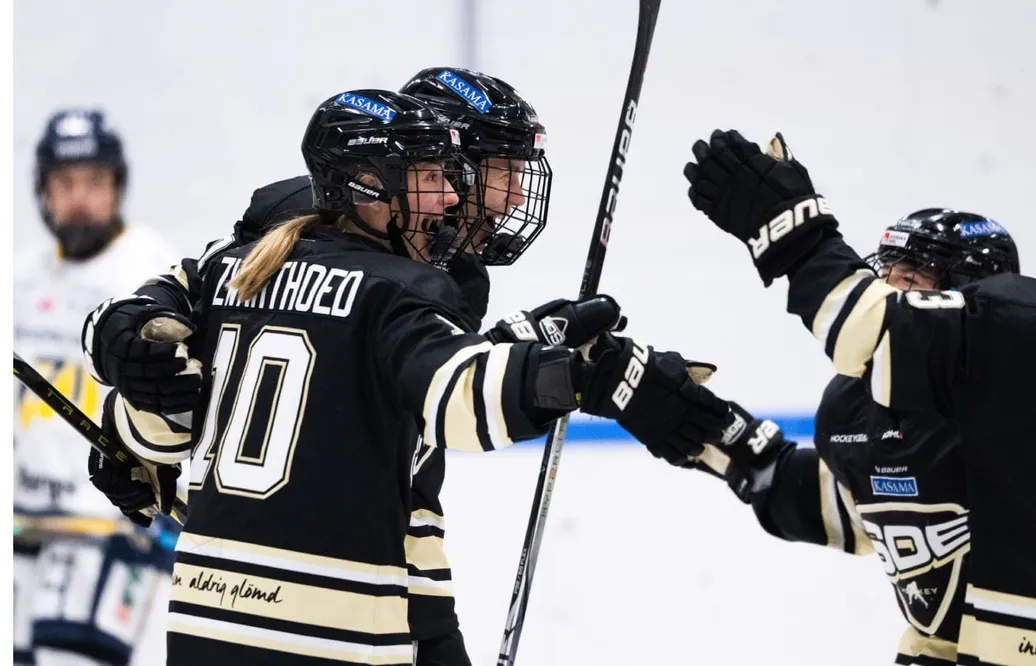 SDE avgjorde i förlängningen mot HV 71