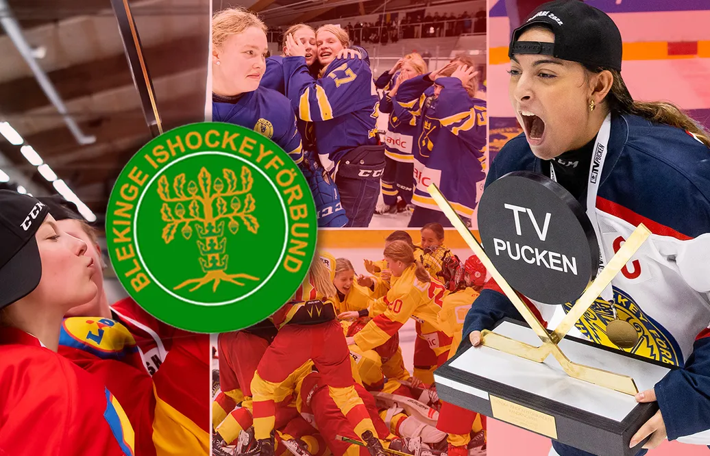 Blekinge – TV-pucken 2023: Kommentarer om ALLA spelare