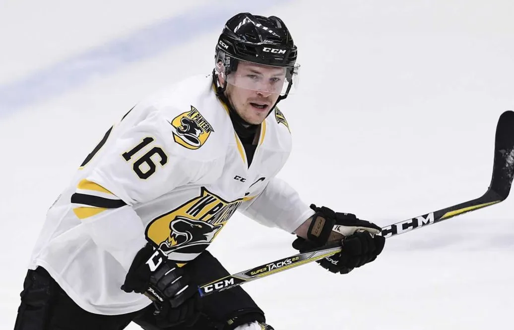 Två firade 500 i Hockeyallsvenskan