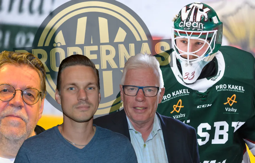 Hockeypanelen: ”Tycker satsningen är helt fel”