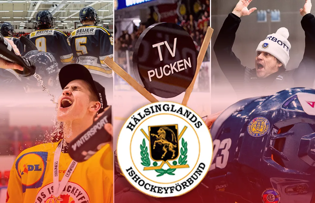 Hälsingland – kommentarer om ALLA spelare