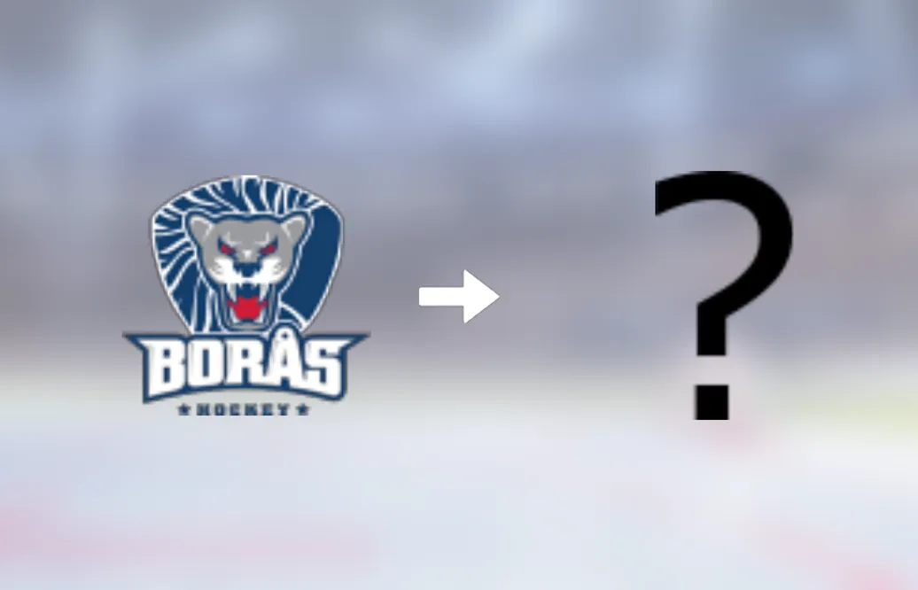 Backen Lukas Flygt lämnar Borås HC