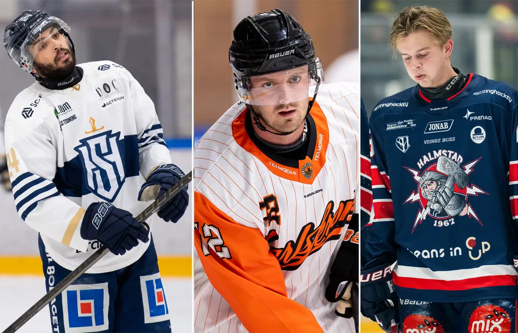 Tio potentiella målskyttar för Hockeyettan-klubbarna att värva