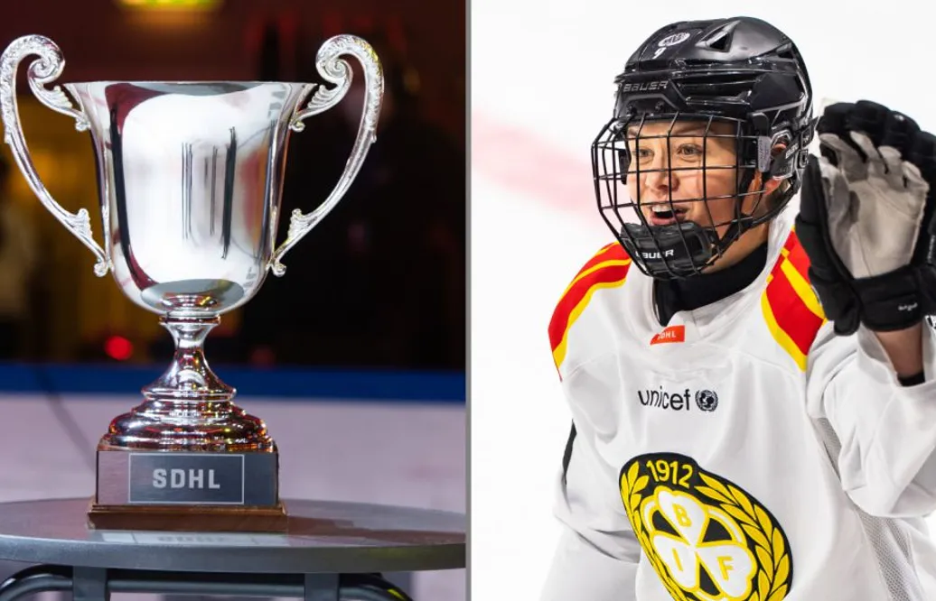 Brynäs favoriter till att vinna SM-guld