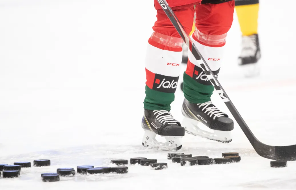 Hockeyprofilen åtalad för ringa narkotikabrott och rattfylleri