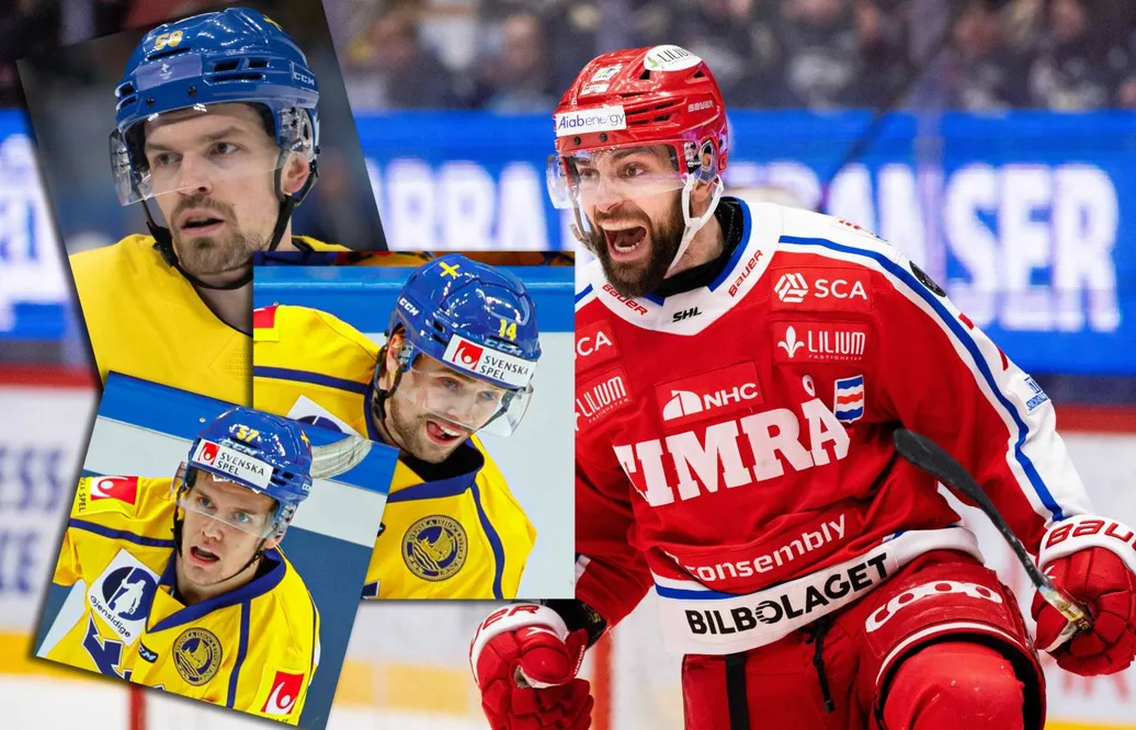 Timrå lockade Robin Hanzl med stjärntrion redan innan kvalserien