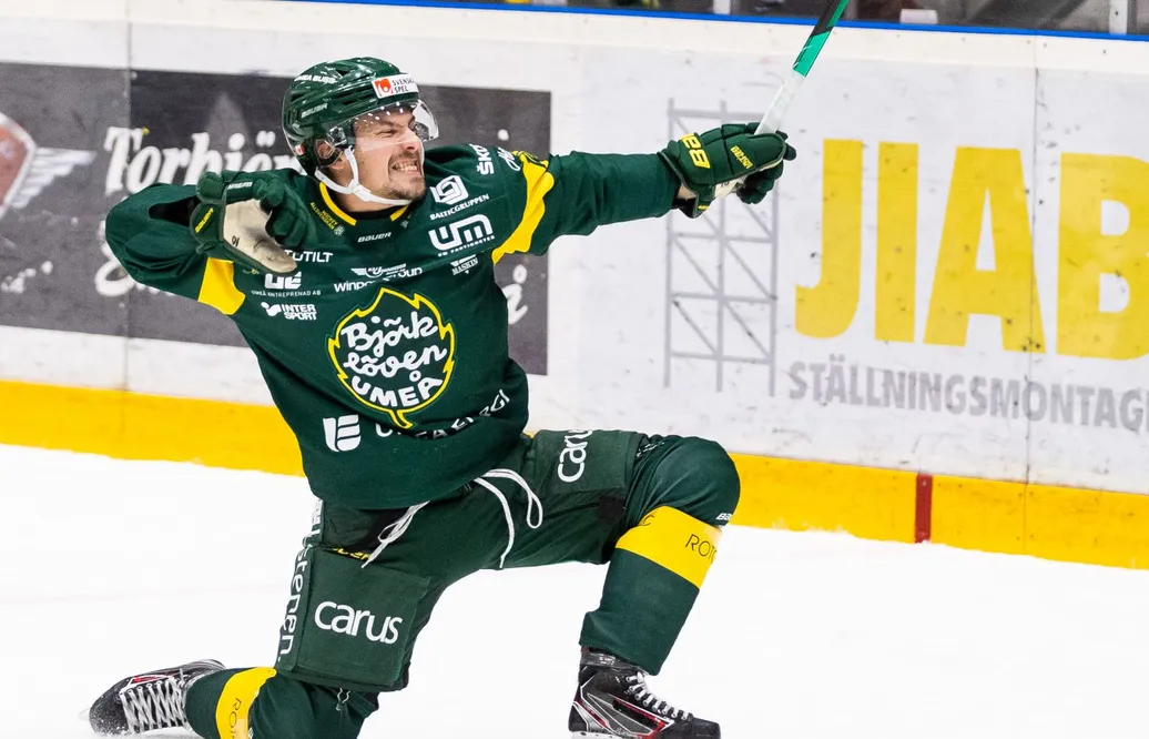 Gerry Fitzgerald lämnar Björklöven