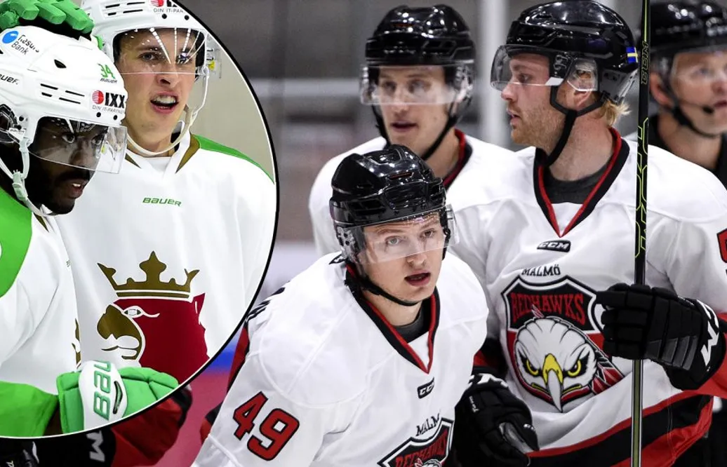 SHL:s Skånelag körde över motstånden – fyra mål av Edwin Hedberg