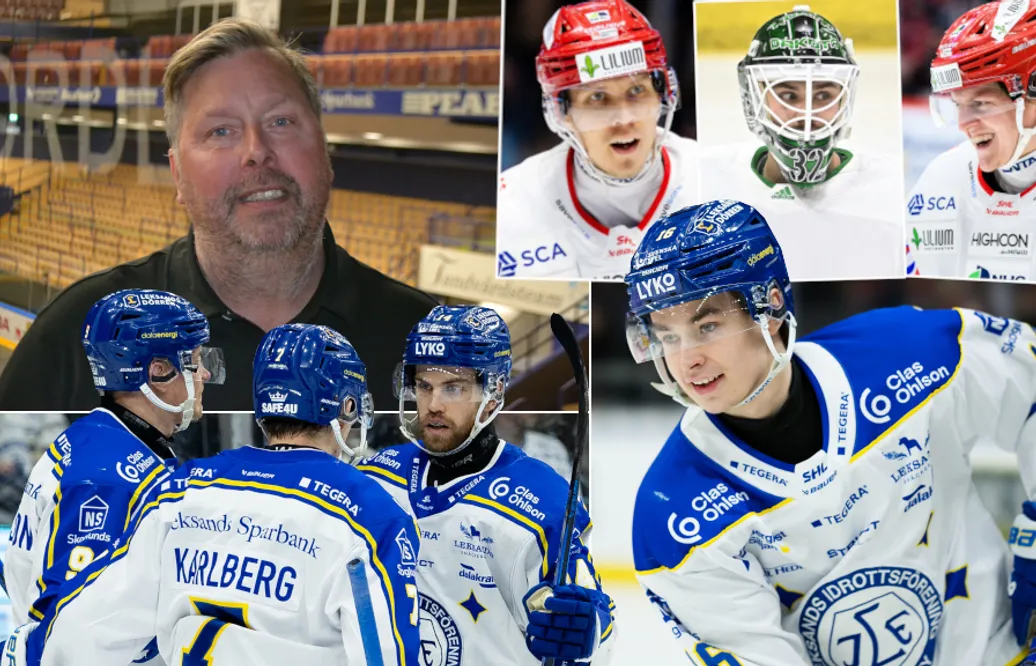 Thomas Johansson bygger nytt: “En otrolig potential”