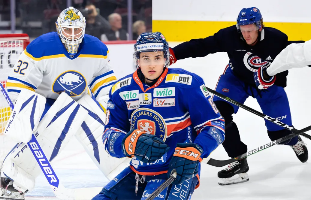 NHL- och AHL-svenskarna som är kontraktslösa