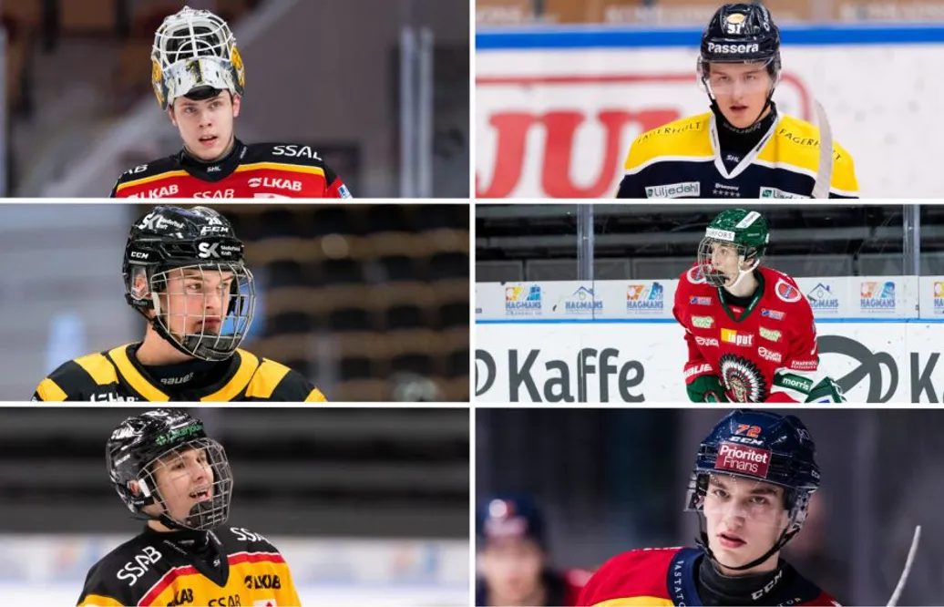 Sex svenskar tippas gå i förstarundan av NHL-draften