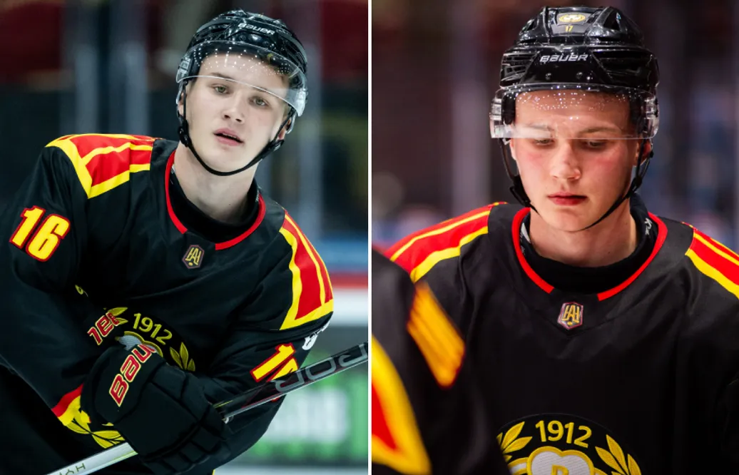 Jonathan Karlsson fick lämna Brynäs – klar för Hudiksvall
