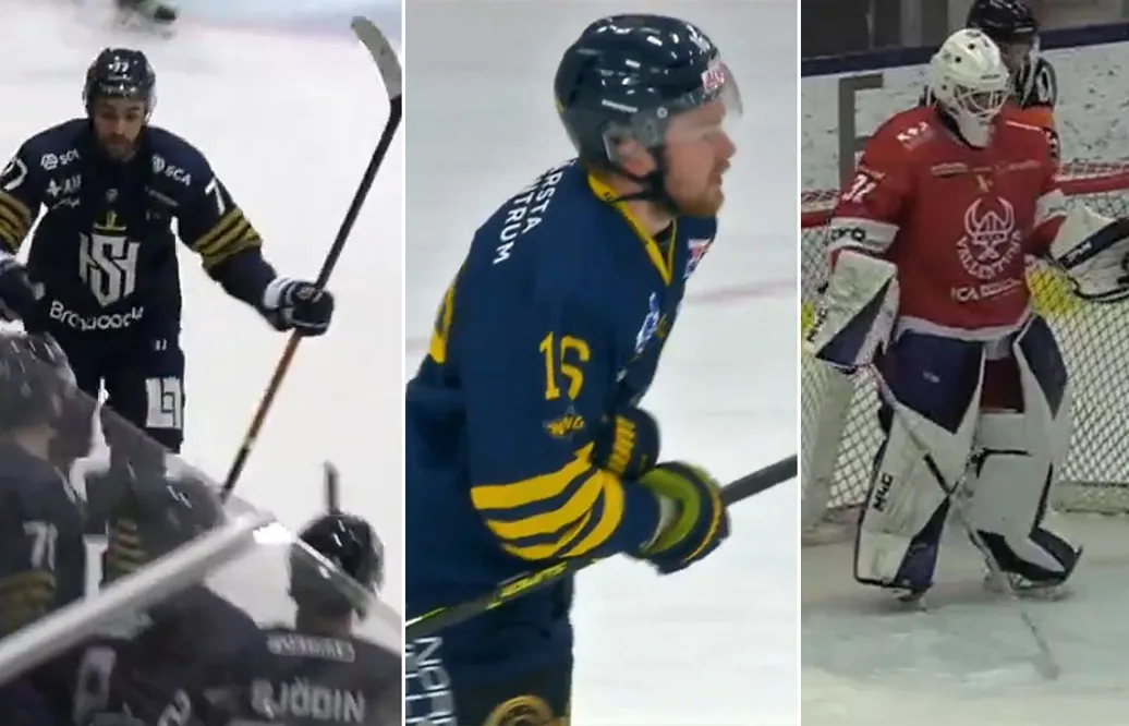 Överraskningarna som tagit Hockeyettan med storm