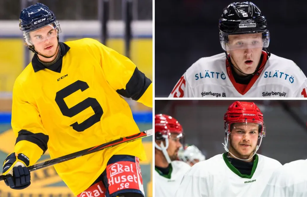 Uppgifter: Sportcheferna vill stoppa NHL-lånen