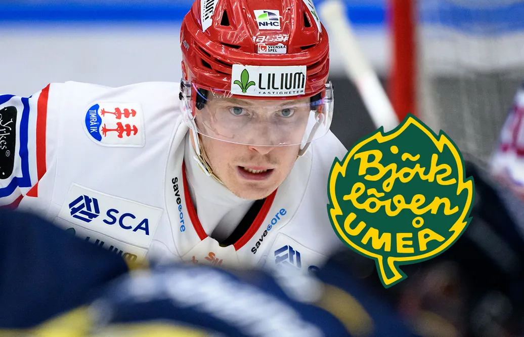 Björklöven värvar från SHL - Erik Andersson skriver på