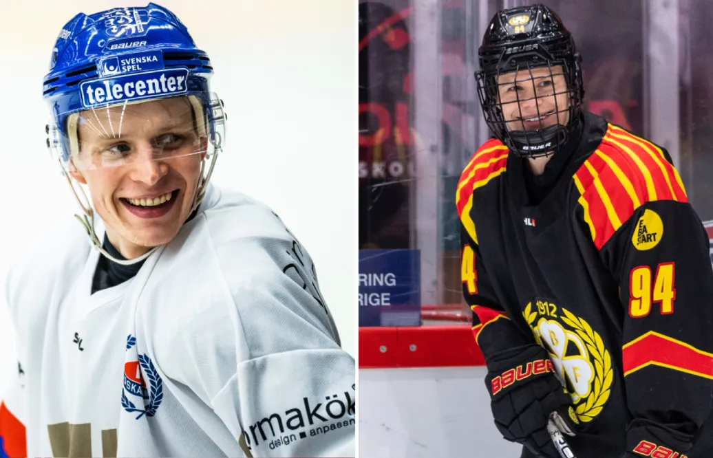 Experternas dom – de är månadens spelare i SHL och SDHL