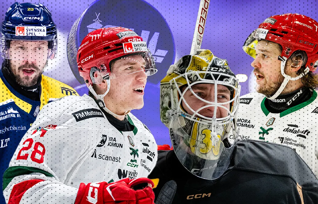 LISTA: De tio bästa värvningarna - från Hockeyallsvenskan till SHL