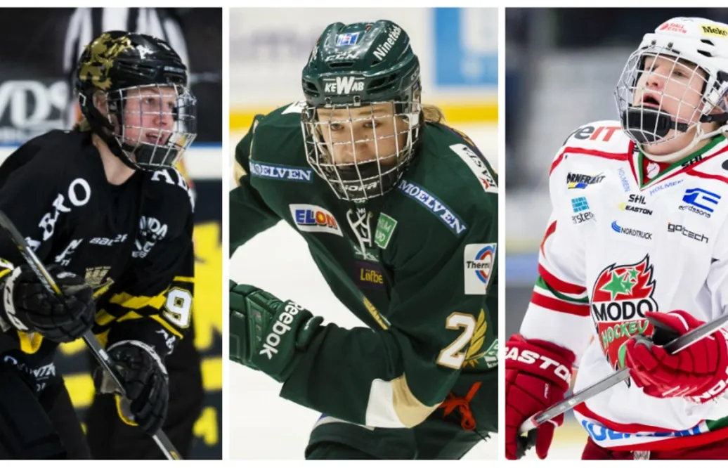 Tre svenskar rankas högt inför nästa års NHL-draft