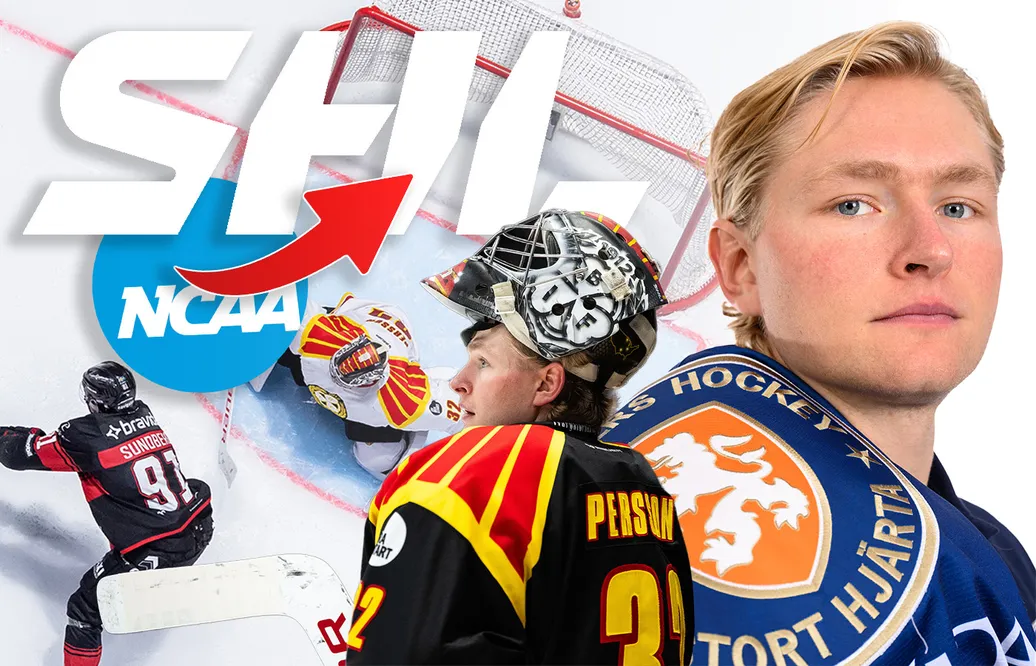 Så blev Ludvig Persson banbrytande i SHL