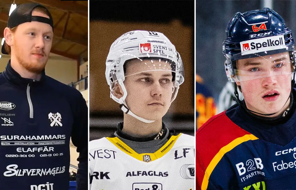 Kvalspelarna som krattat för att bli kvar i Hockeyettan