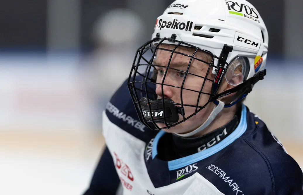 Steven Ellis förutspår att Marcus Nordmark kommer att väljas utanför första rundan i NHL-draften.
Foto: Nicklas Elmrin /BILDBYRÅN