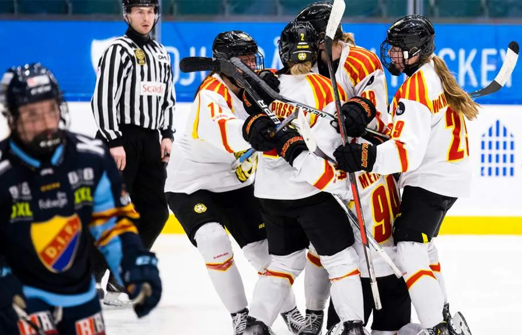 Brynäs vann mot Djurgården efter mål av Anna Meixner