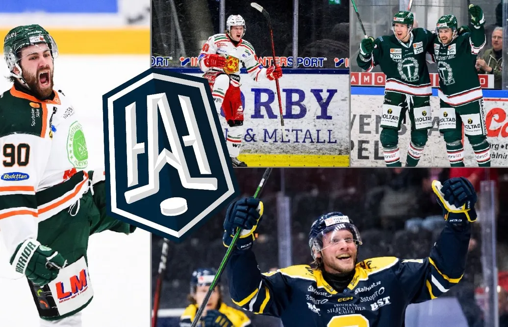 KARLSSON: Så "borde" streckstriderna i HockeyAllsvenskan sluta